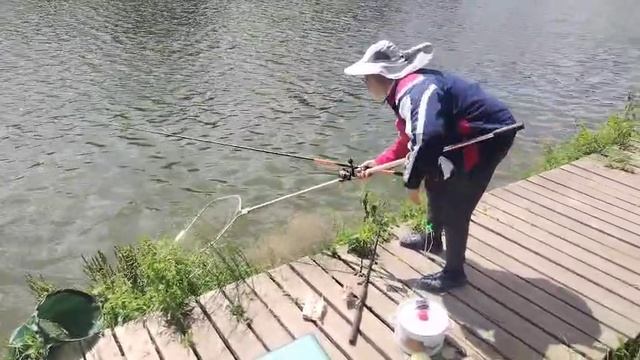Карпевич