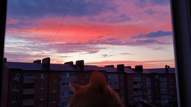 Закат.