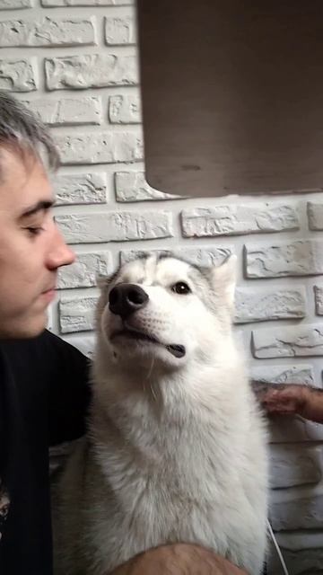 Это любовь 😍😘