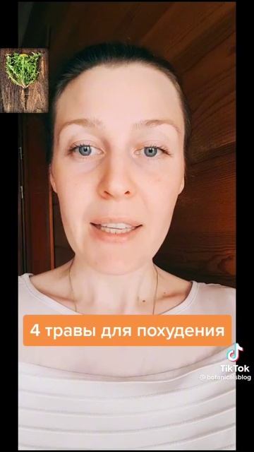 Травы для похудения