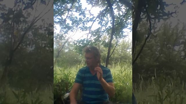 Гимн нашему селу