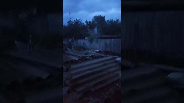 пиво погоня