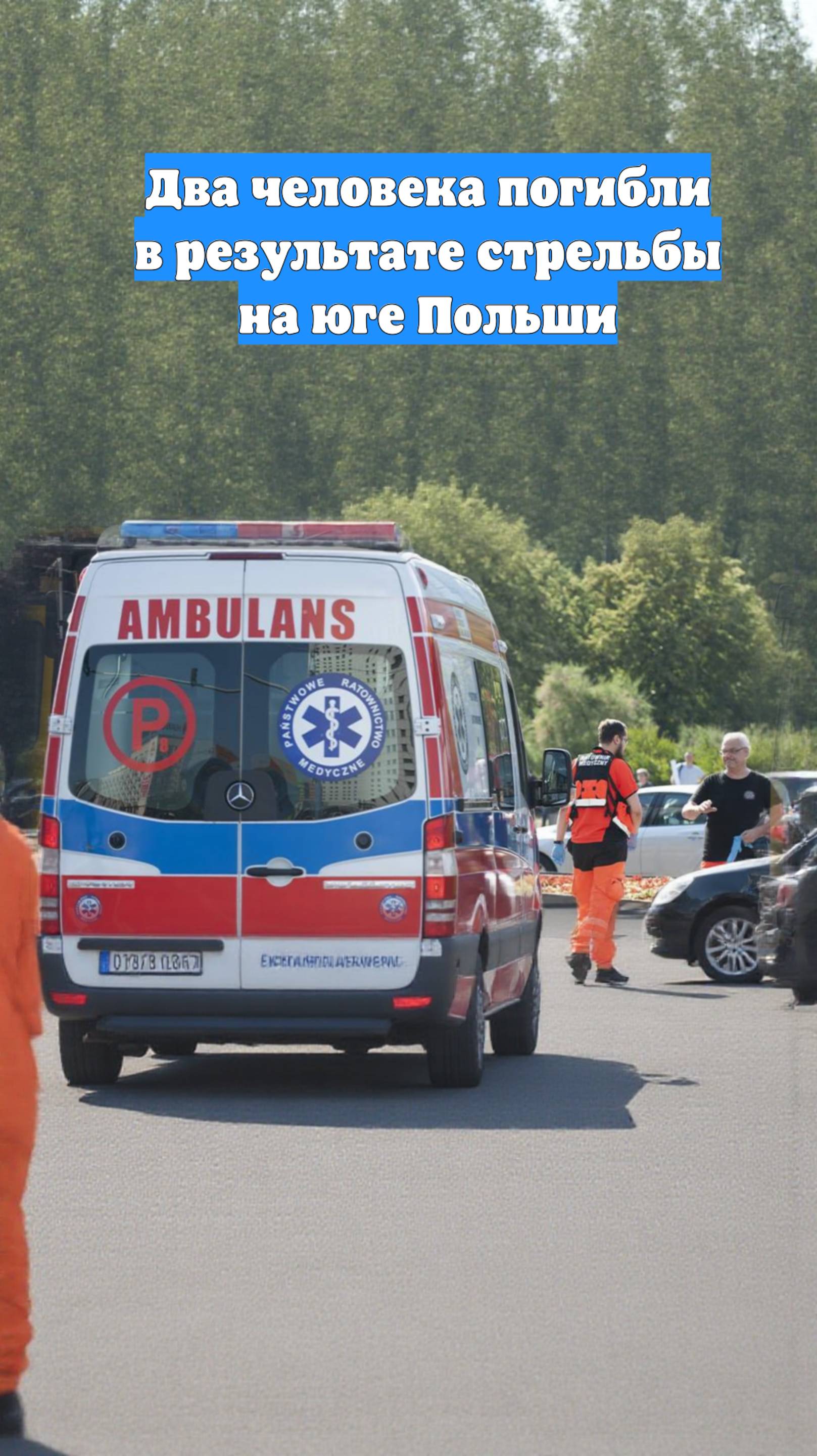 Два человека погибли в результате стрельбы на юге Польши