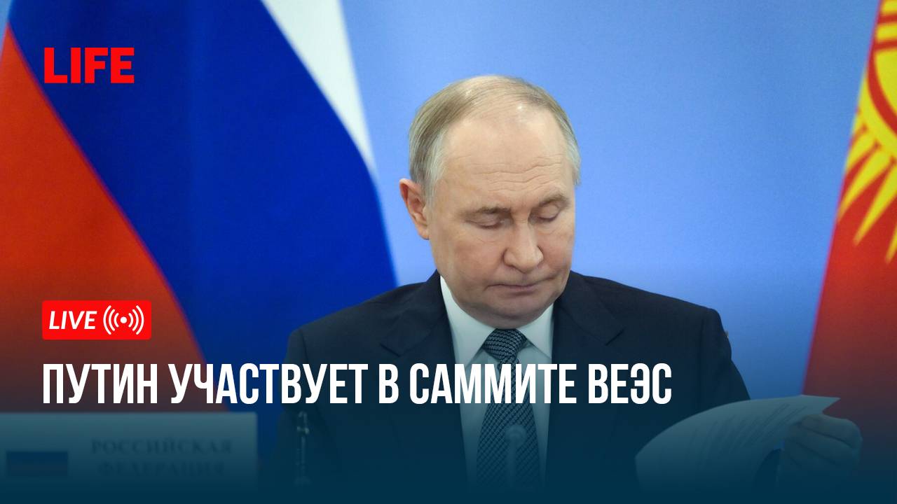 Путин участвует в саммите ВЕЭС