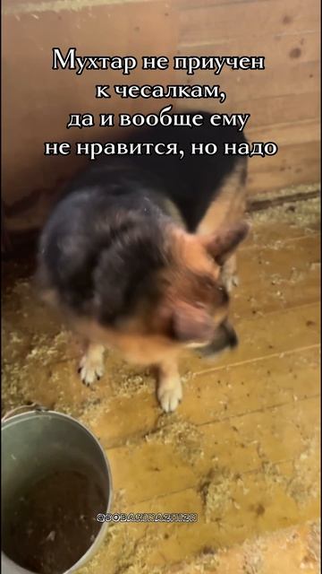Ловкость рук, но руки целы