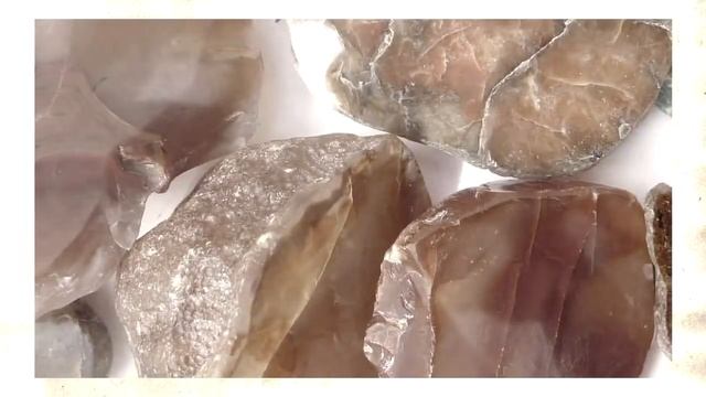 Что такое кремневая форма жизни и существует ли она сейчас?