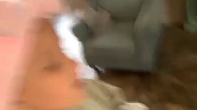 Утренняя трансляция