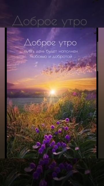 Доброе утро #доброеутро #благодарность