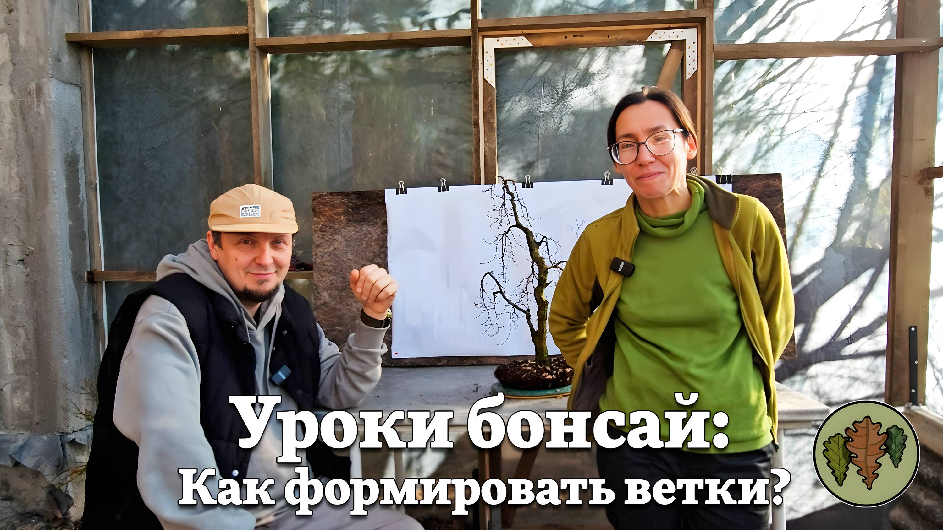 Как  правильно формировать ветки у деревьев бонсай?