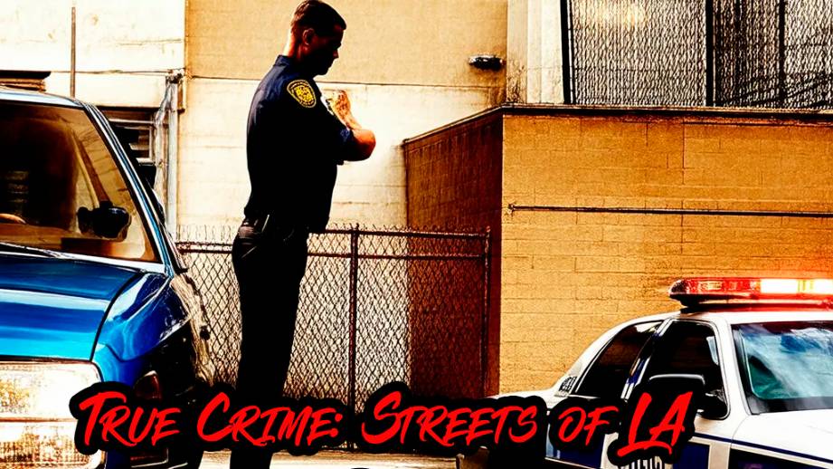 True Crime: Streets of LA