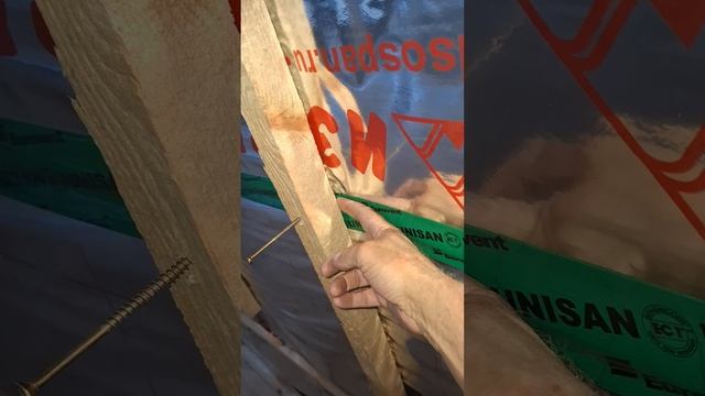 1000027386.mp4 (Собака наблюдает за устройством плоскости каркаса для и/бруса в доме А-фрейм)