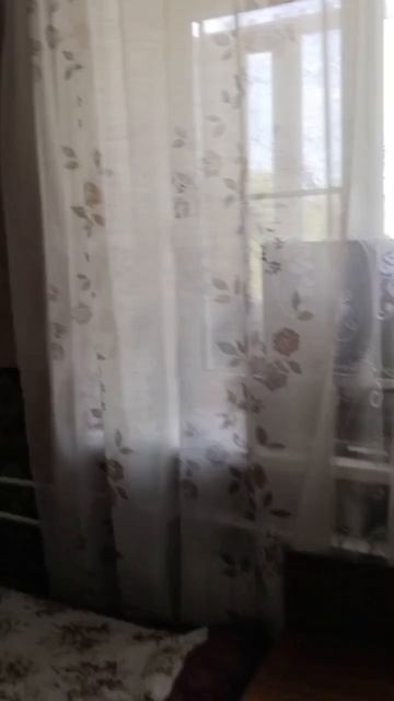квартира