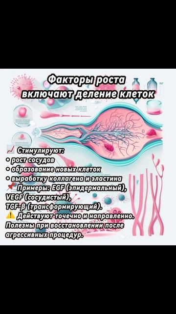 💉 Цитокины, экзосомы, факторы роста — что это вообще такое?