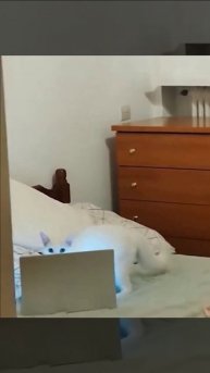 Планы на выходные.