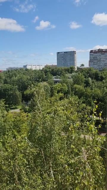 ‼️Звуки, похожие на выстрелы, напугали жителей Карельского бульвара‼️