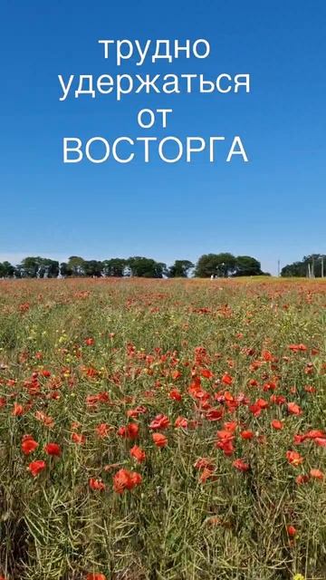 станица БЛАГОВЕЩЕНСКАЯ