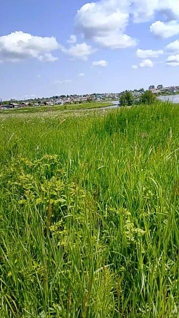 10 дней выживания в деревне 4 день 2 часть бонус