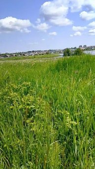 10 дней выживания в деревне 4 день 2 часть бонус