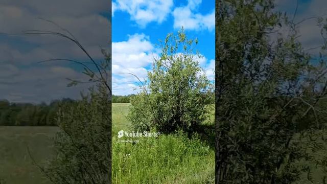 Еду к брату.