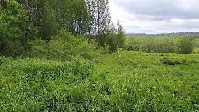 д. Вишенки 50:18:0060208:428