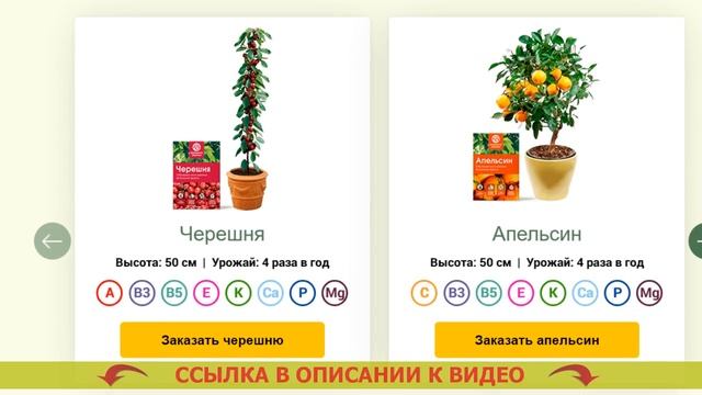 ⚪ КОМНАТНЫЕ РАСТЕНИЯ САМЫЕ НЕПРИХОТЛИВЫЕ В УХОДЕ 💯 САМЫЕ ПРОСТЫЕ В УХОДЕ КОМНАТНЫЕ РАСТЕНИЯ У КОТО