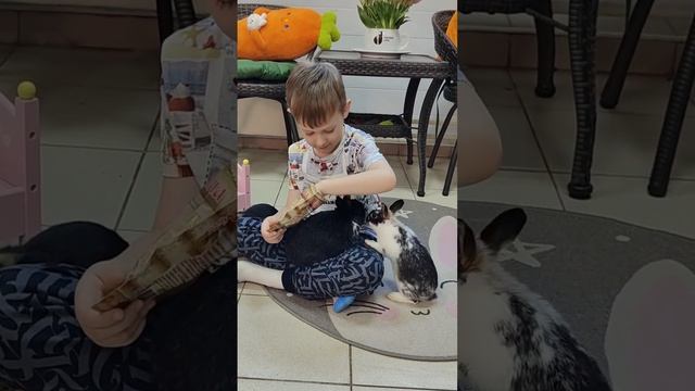 экскурсия в питомник карликовых кроликов