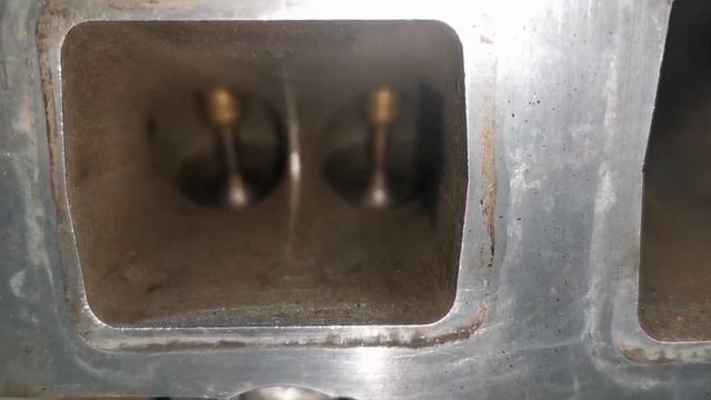 1000011778.mp4
