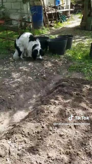 Работать?...)))