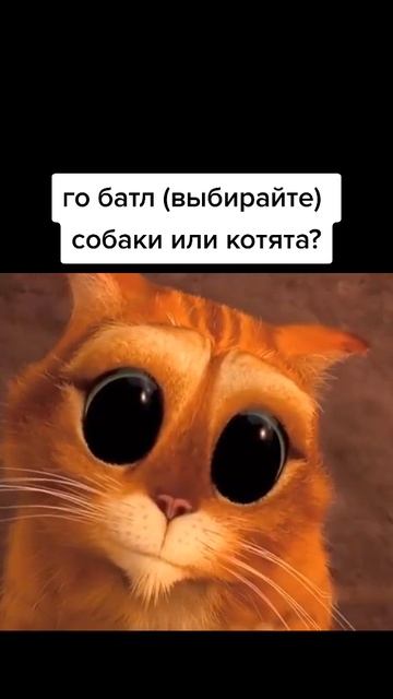 Батл?))