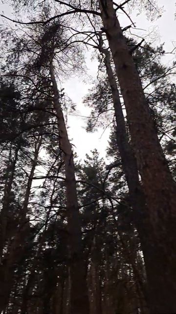Велопоездка в село Мировой октябрь