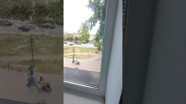 Обзор