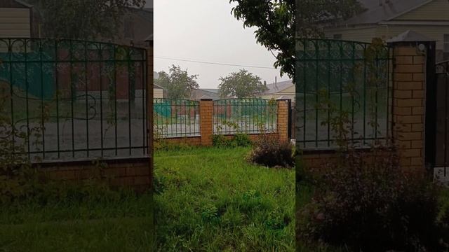27.06.25г. И снова дождь....
