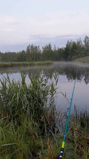 Рассвет рыбалка озеро