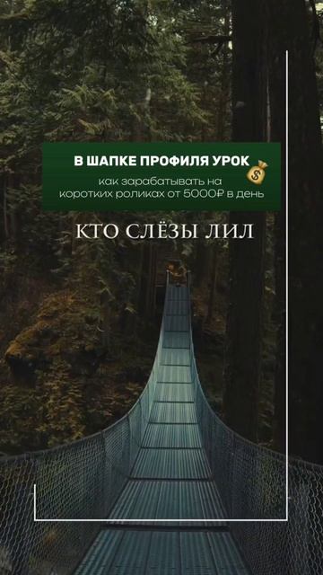 Взлёт - падение, падение - взлёт.