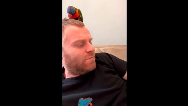САМВЕЛ АДАМЯН, ПОЗДРАВИЛ ИРОЧКУ С ДНЕМ РОЖДЕНИЯ, КОЛЯ ХОДИТ ГОЛЫЙ..
