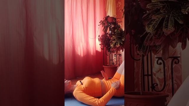 Мышцы тазового дна и глубокий кор
