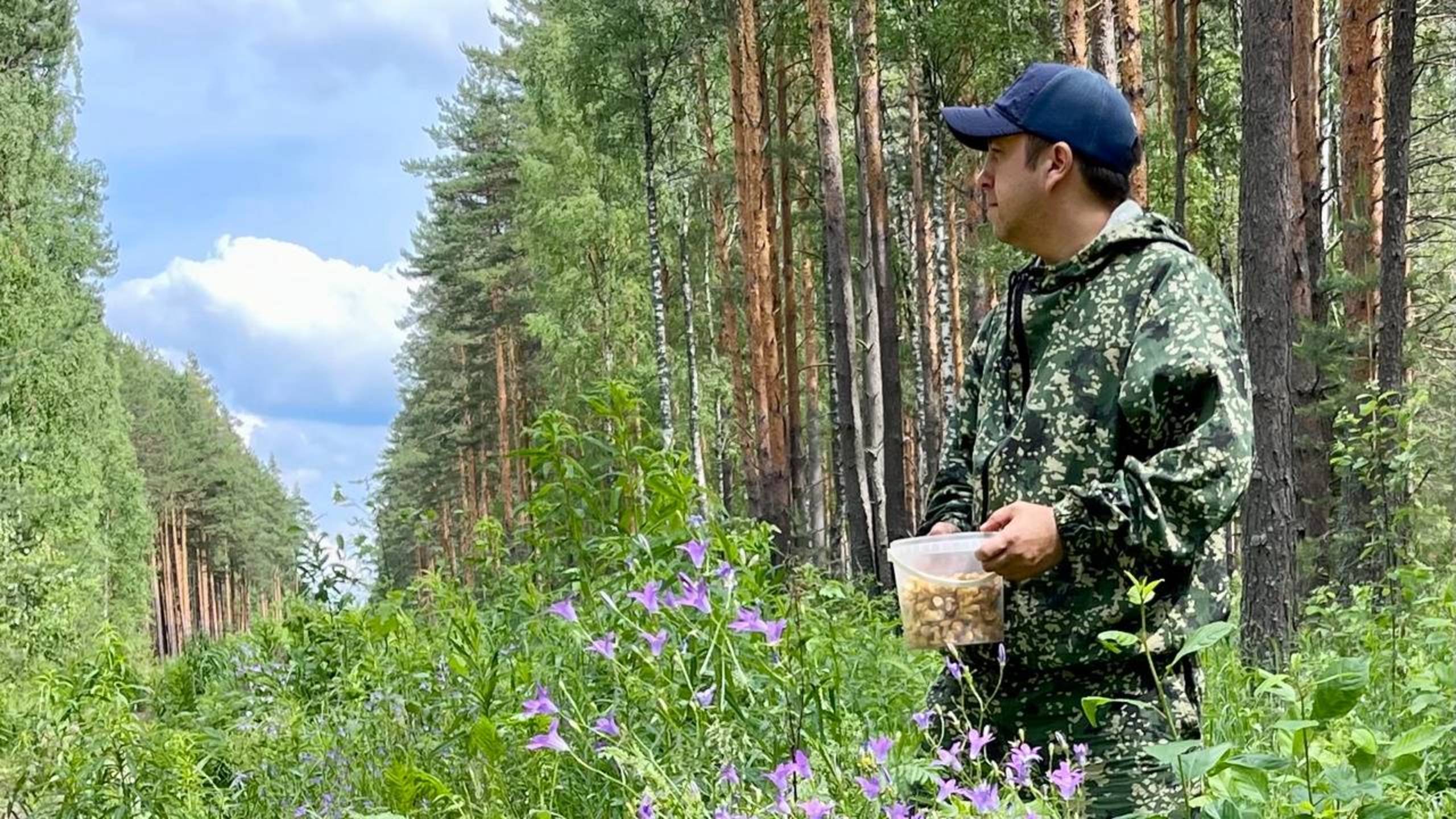 🍄 Грибы в июне 2025: какие первые летние грибы уже появились в лесу?
