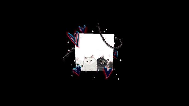 1000051182.mp4