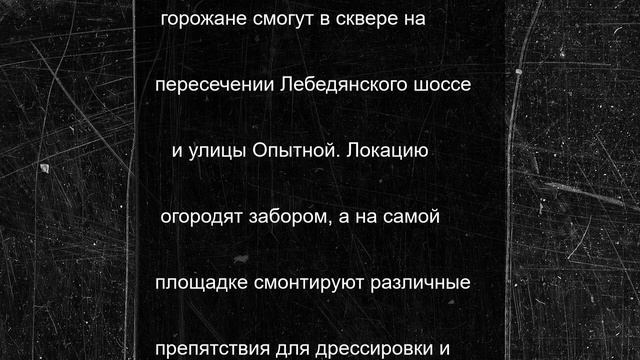 Площадку для выгула домашних животных оборудуют на Звездном в Липецке