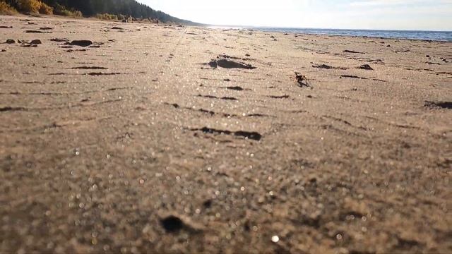 Прогулка по Финскому заливу, Усть Нарва, Эстония!! #ЕстьОдноПравилоГлавноеНачать