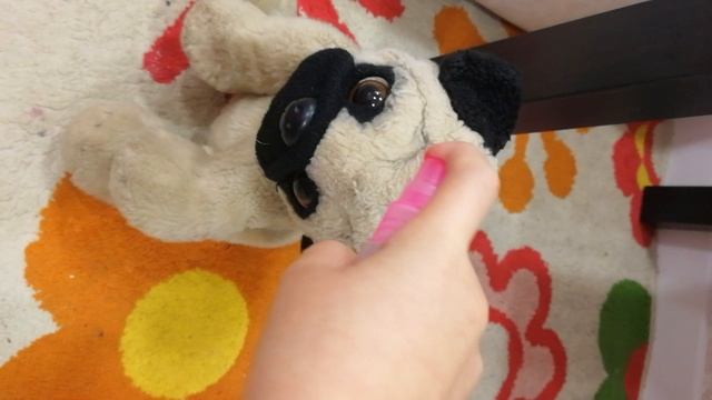 VID вечерний влог