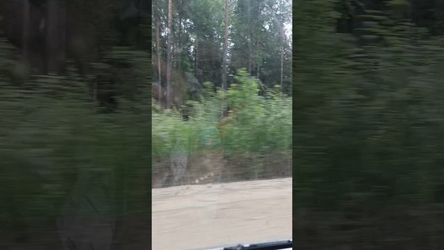 Выезд на природу 2025