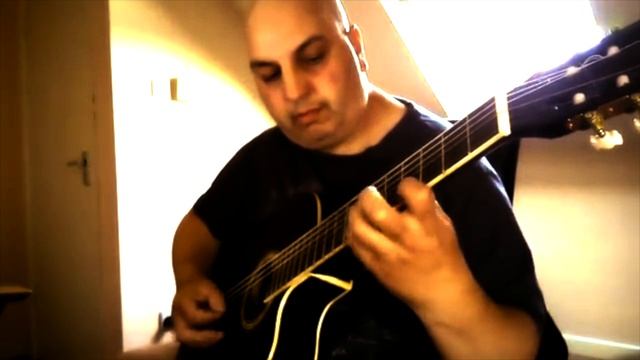 Acoustic Guitar 🎸