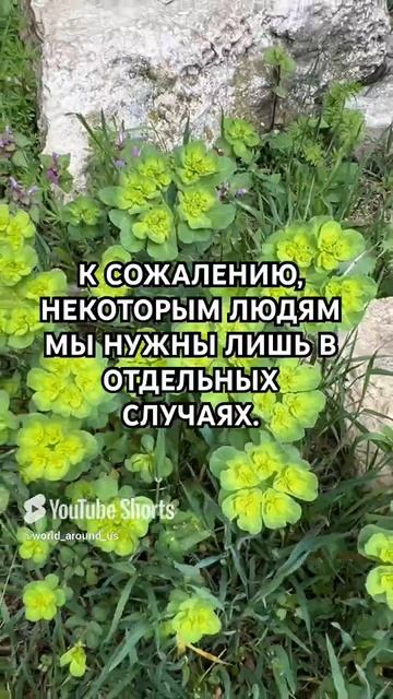 Слова со смыслом