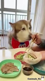 Подпишись 👉 https://vk.com/ykrasheniy_iz_kamny