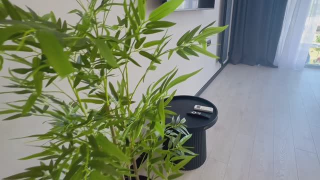 Роскошная квартира с панорамной кухней-гостиной.