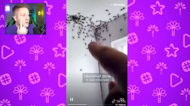 Поззи ИСПУГАЛСЯ - ЗАДОНАТИЛ (800 СЕКУНД СТРАХА)