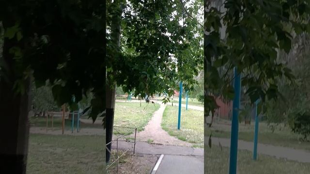 Утром на работу