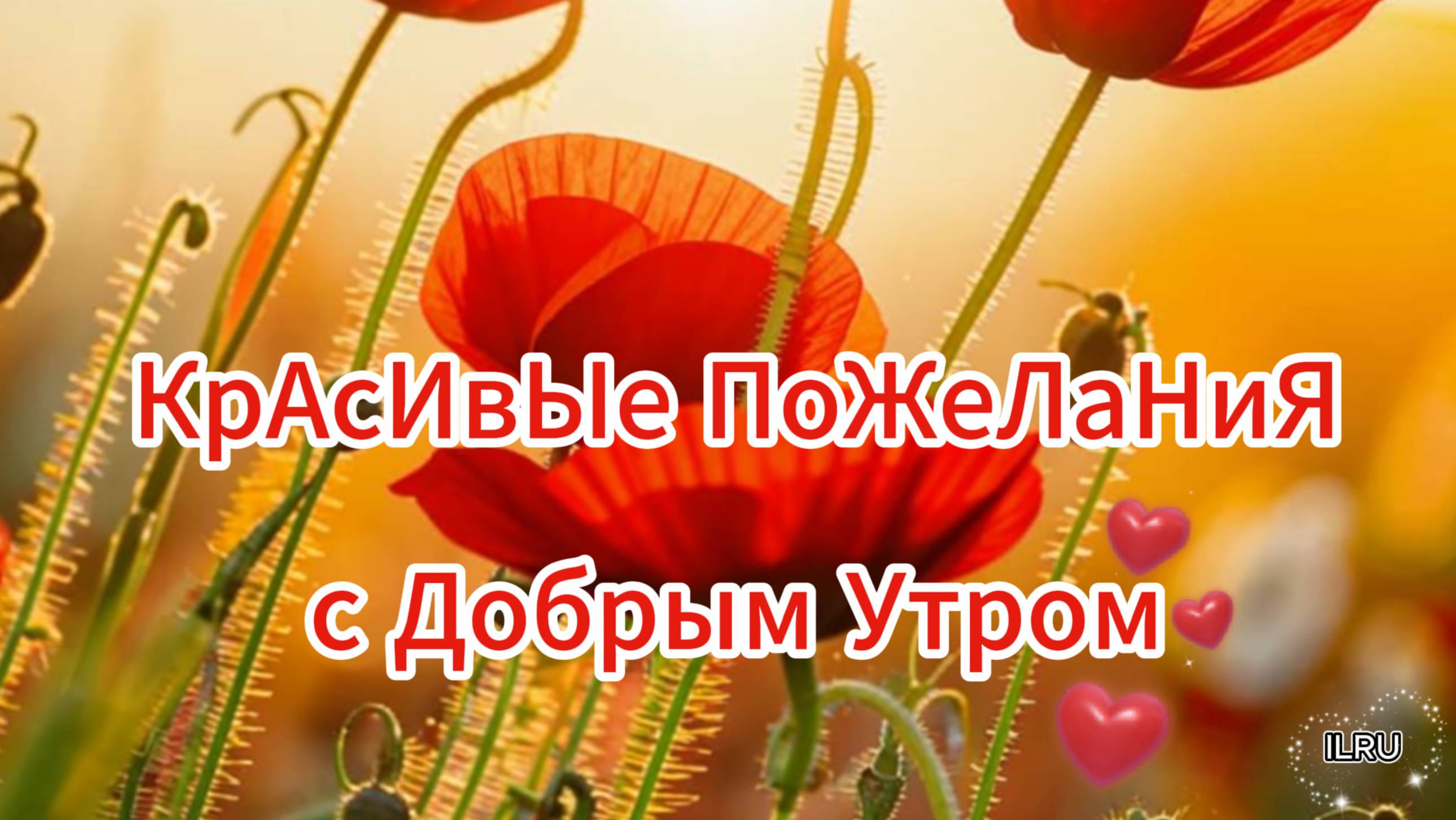 Открытки с добрым утром и пожелания добра 🌞 Хорошие красивые пожелания с добрым утром НОВИНКА!