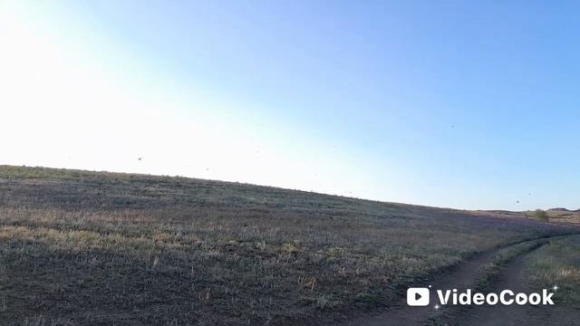 1000111218.mp4